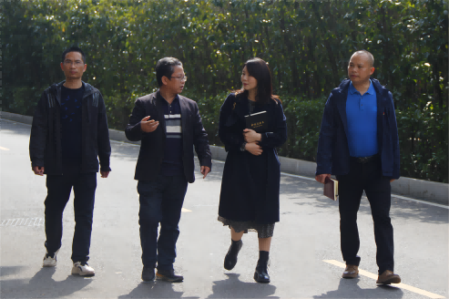 芦淞区董家塅片区管委会副主任曾超群一行来半岛在线注册调研产教融合工作