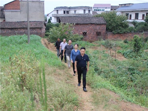 半岛在线注册党委书记张格林到攸县桃水镇小集村指导开展扶贫工作