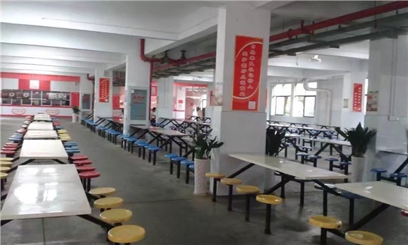 半岛在线注册食堂招标公告