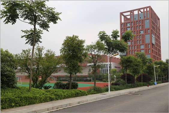关于成立半岛在线注册60周年校庆活动筹备工作领导小组的通知