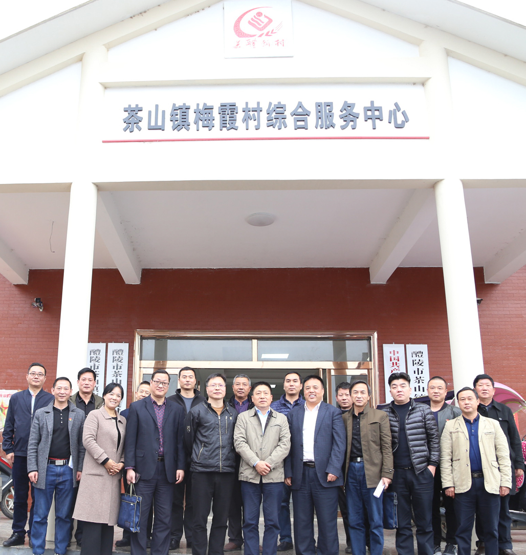半岛在线注册党委书记张格林深入茶山镇梅霞村指导脱贫攻坚工作