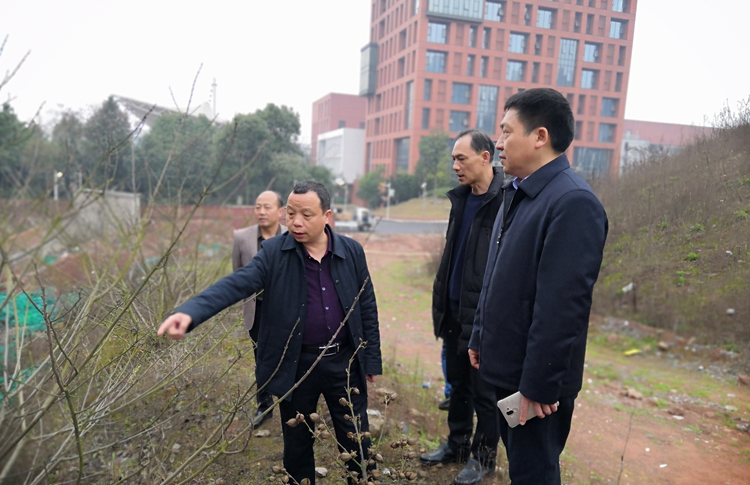 半岛在线注册开展校园安全大检查活动